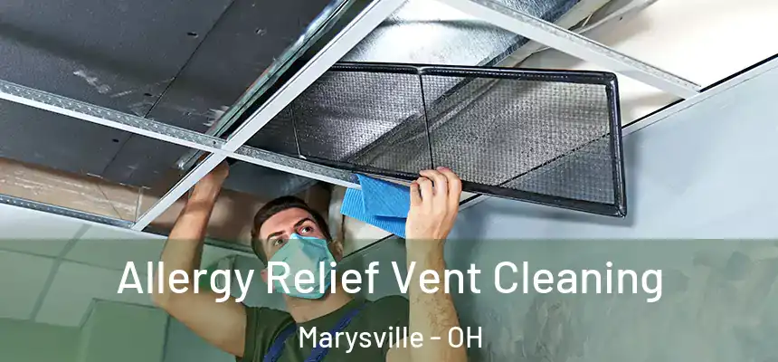  Allergy Relief Vent Cleaning Marysville - OH
