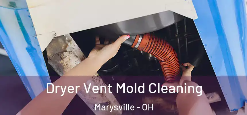  Dryer Vent Mold Cleaning Marysville - OH