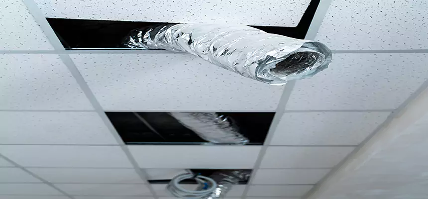 Our Air Duct Pet Hair Removal Services in Marysville, OH