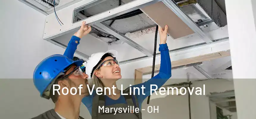  Roof Vent Lint Removal Marysville - OH