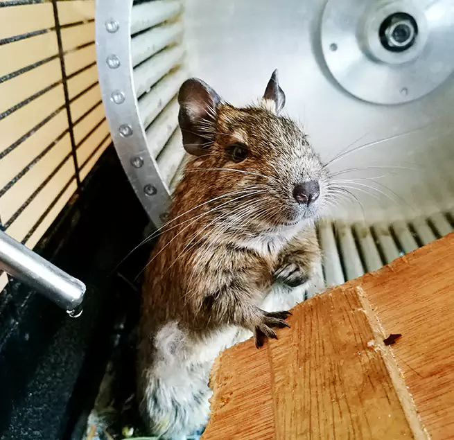 Why Homeowners & Businesses Trust Us Marysville, OH